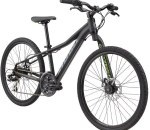 Cannondale Street 24